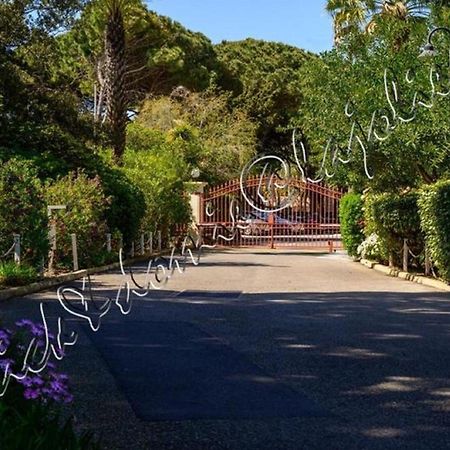 Magnifique Parc De La Presqu'Ile Avec Piscine Et Plage Face A Porquerolles ! Hyères Eksteriør billede