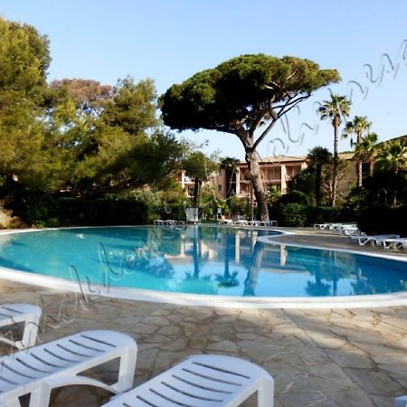 Magnifique Parc De La Presqu'Ile Avec Piscine Et Plage Face A Porquerolles ! Hyères Eksteriør billede