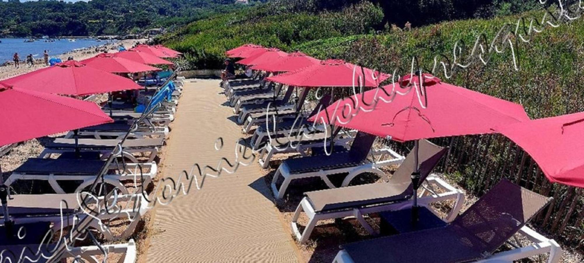 Magnifique Parc De La Presqu'Ile Avec Piscine Et Plage Face A Porquerolles ! Hyères Eksteriør billede
