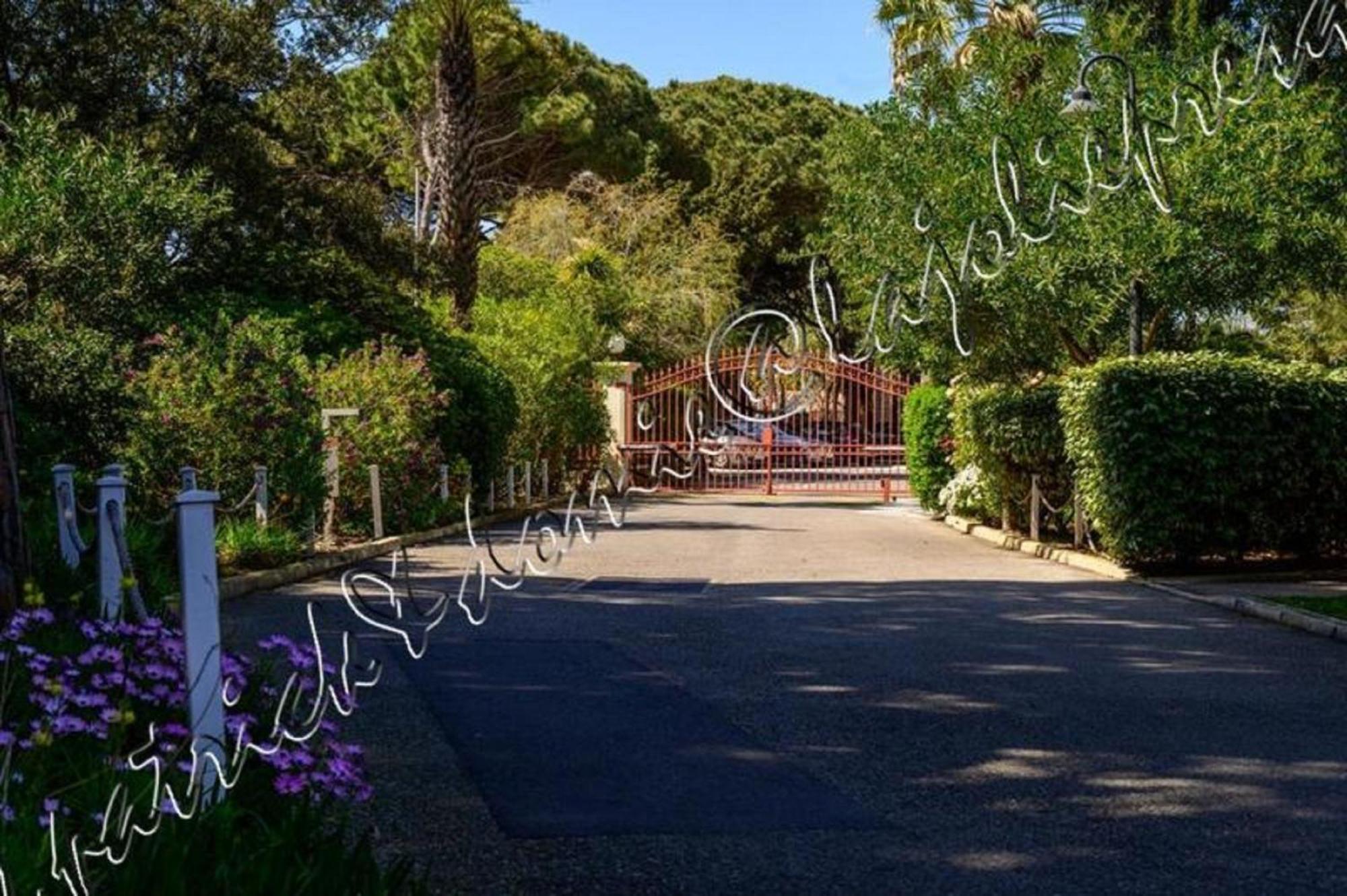 Magnifique Parc De La Presqu'Ile Avec Piscine Et Plage Face A Porquerolles ! Hyères Eksteriør billede