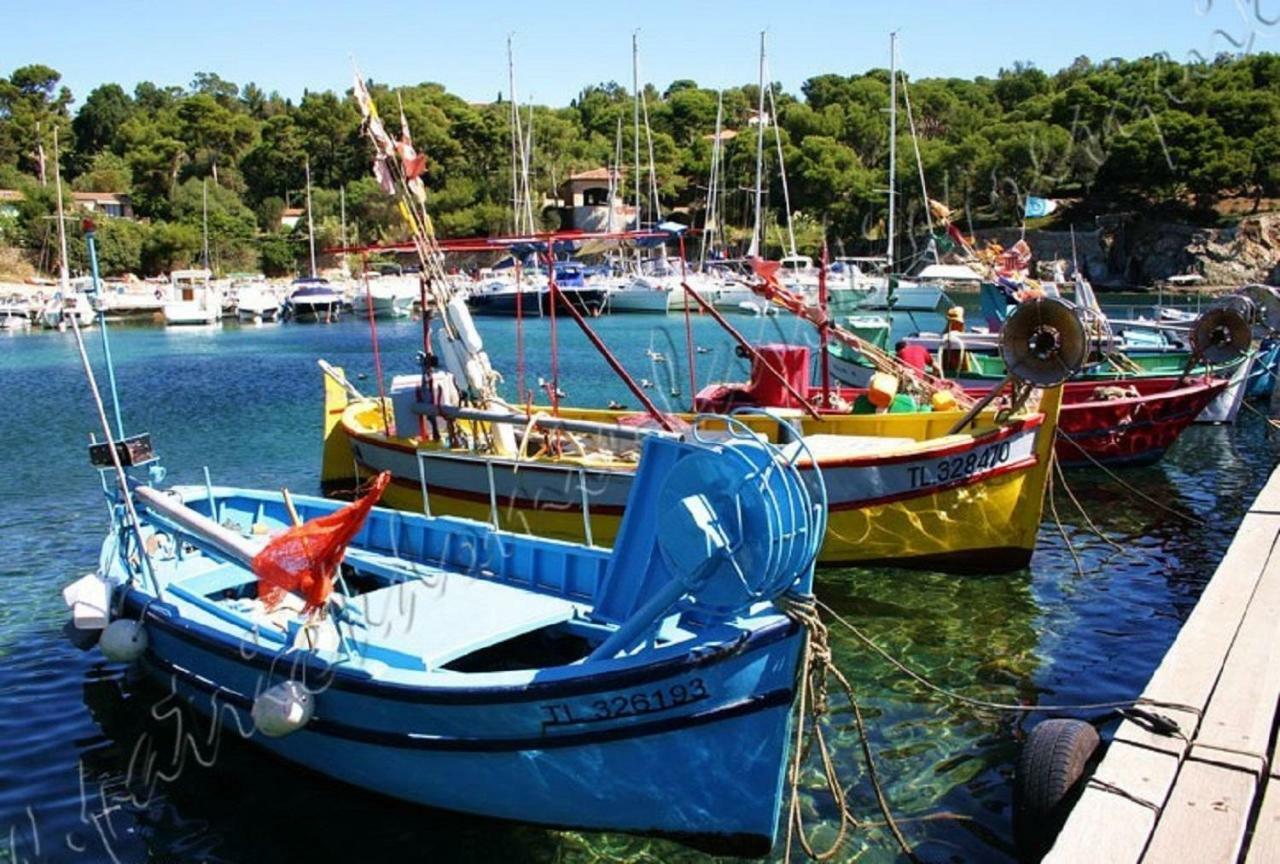 Magnifique Parc De La Presqu'Ile Avec Piscine Et Plage Face A Porquerolles ! Hyères Eksteriør billede