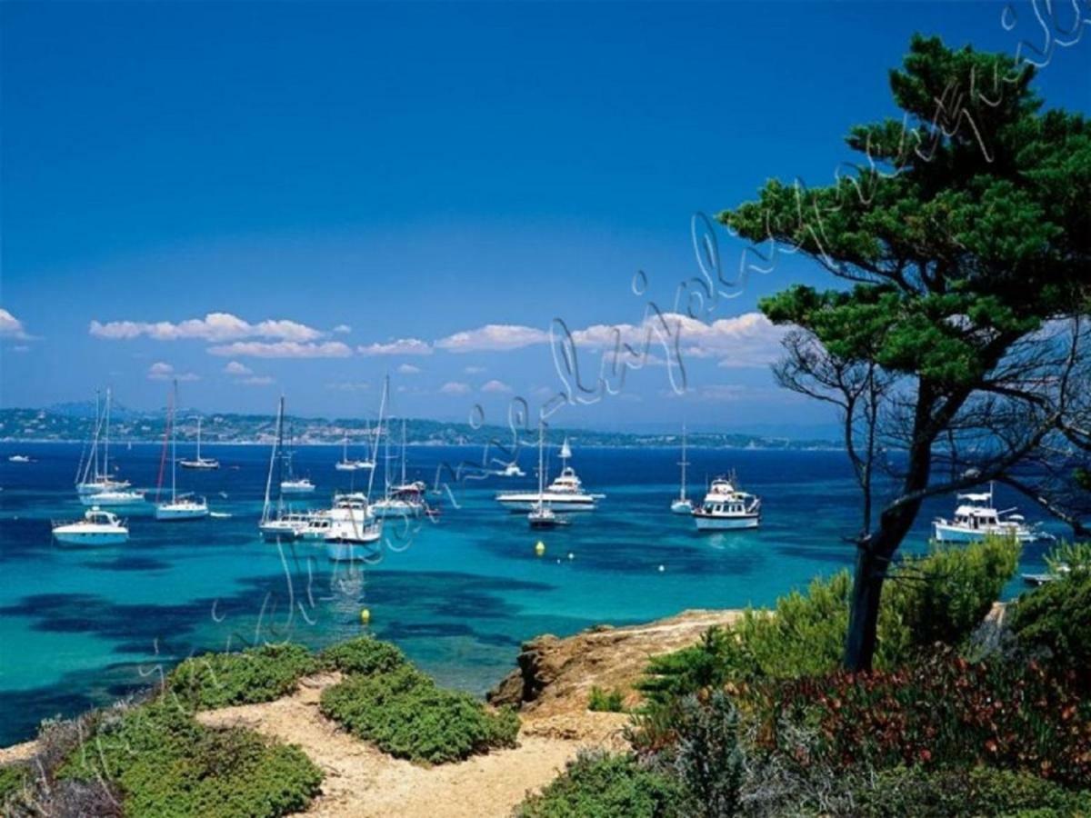 Magnifique Parc De La Presqu'Ile Avec Piscine Et Plage Face A Porquerolles ! Hyères Eksteriør billede