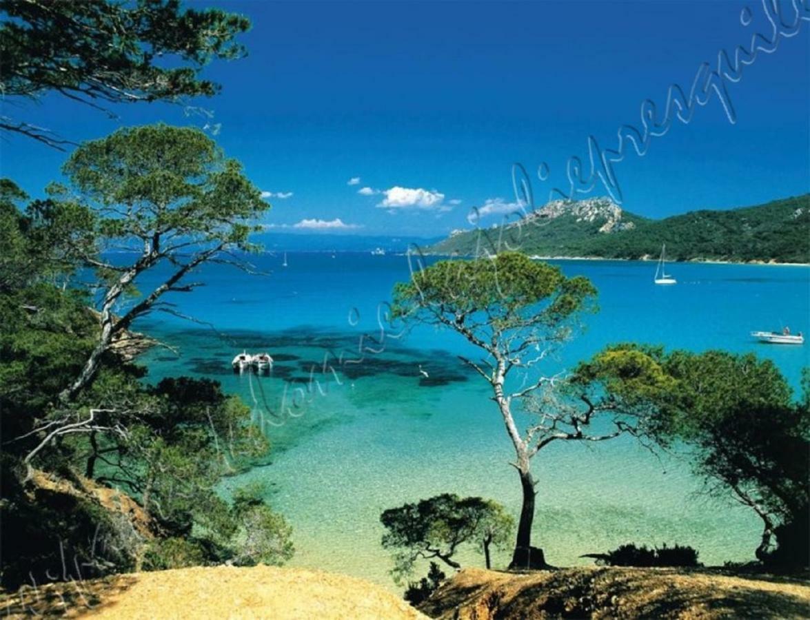 Magnifique Parc De La Presqu'Ile Avec Piscine Et Plage Face A Porquerolles ! Hyères Eksteriør billede
