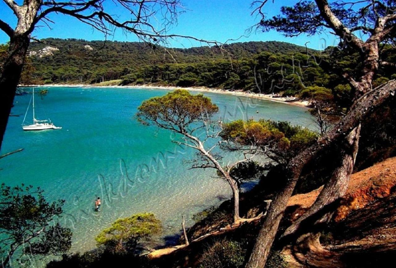 Magnifique Parc De La Presqu'Ile Avec Piscine Et Plage Face A Porquerolles ! Hyères Eksteriør billede