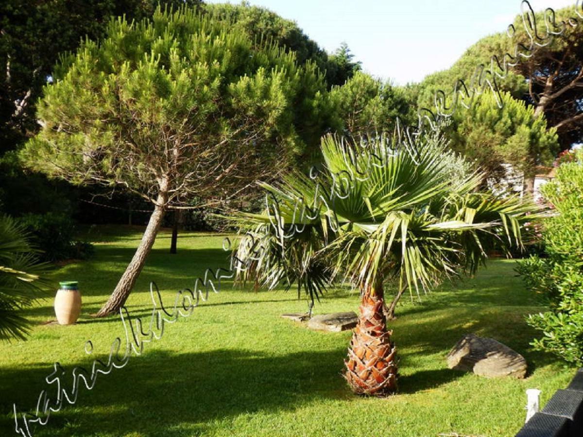 Magnifique Parc De La Presqu'Ile Avec Piscine Et Plage Face A Porquerolles ! Hyères Eksteriør billede